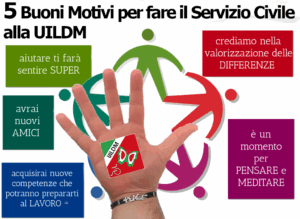 Infografica3