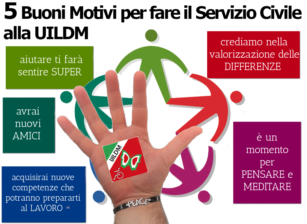 Infografica3